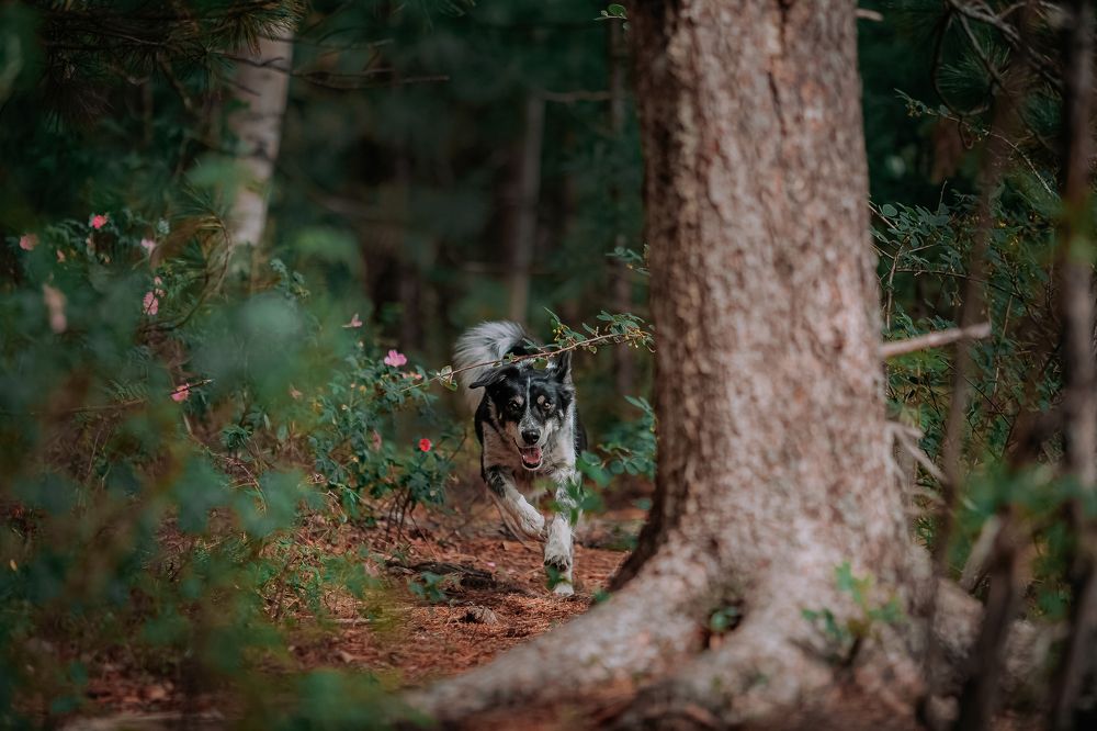 Photograph by София Зайцева