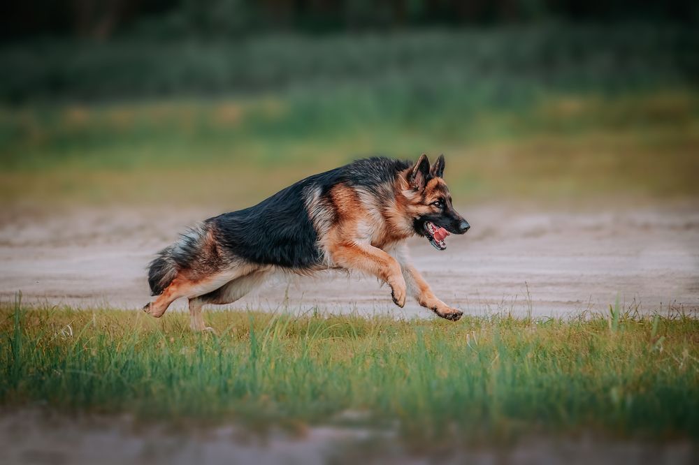 Photograph by София Зайцева