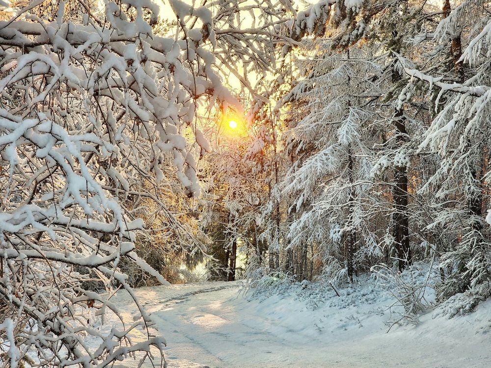 Photograph by Юлия