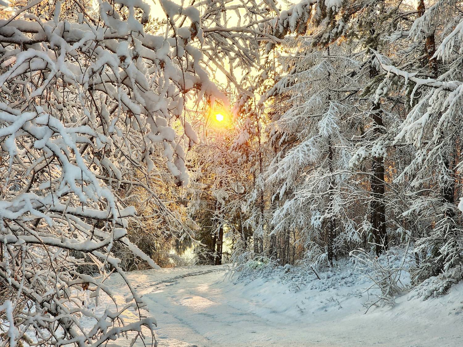 Photo #10106745