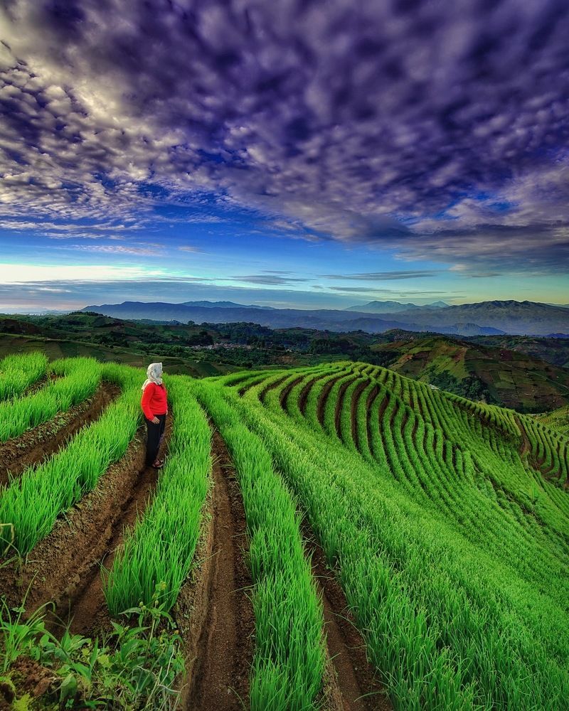 Photograph by mas julianto