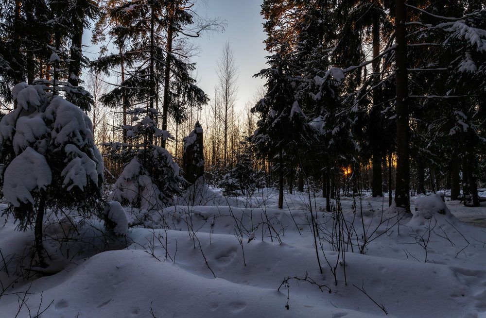 Фотография автора Ирина Гриценко