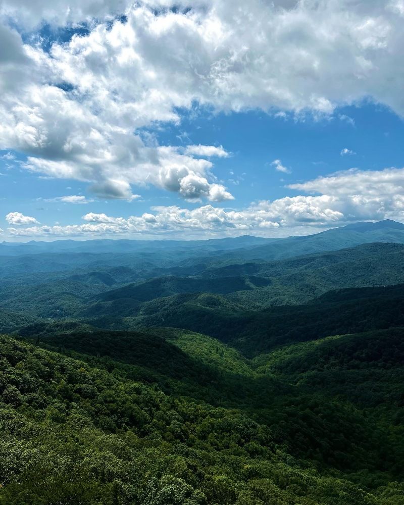 Фотография автора Olga Kichkaila