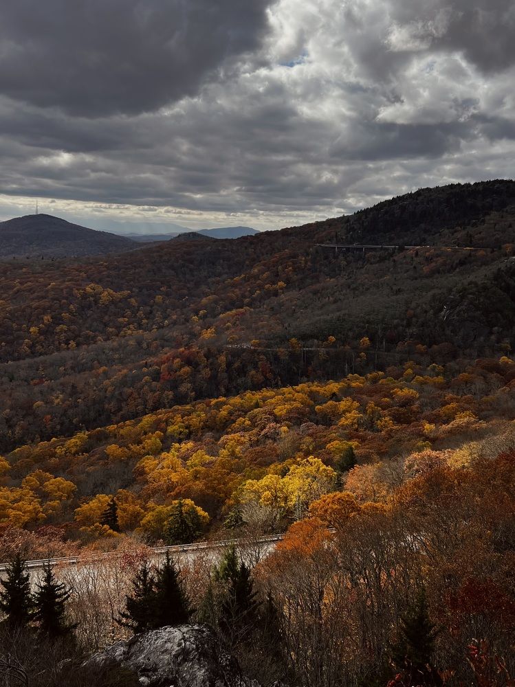 Фотография автора Olga Kichkaila