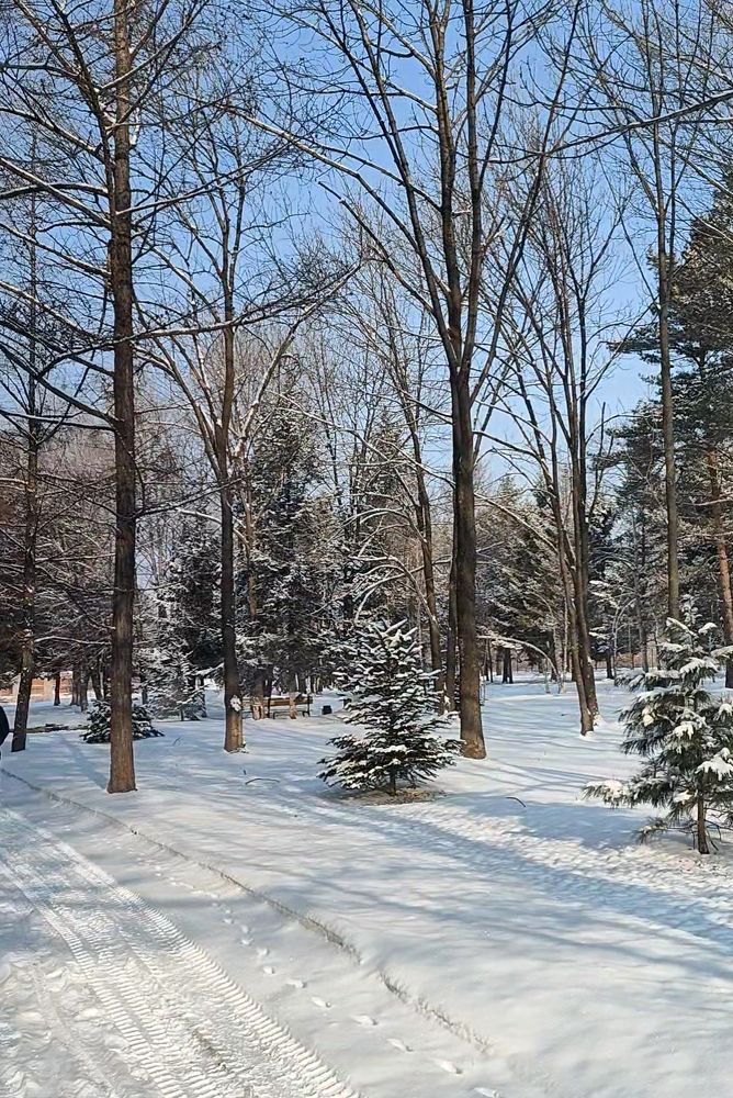 Photograph by Елена Егорова