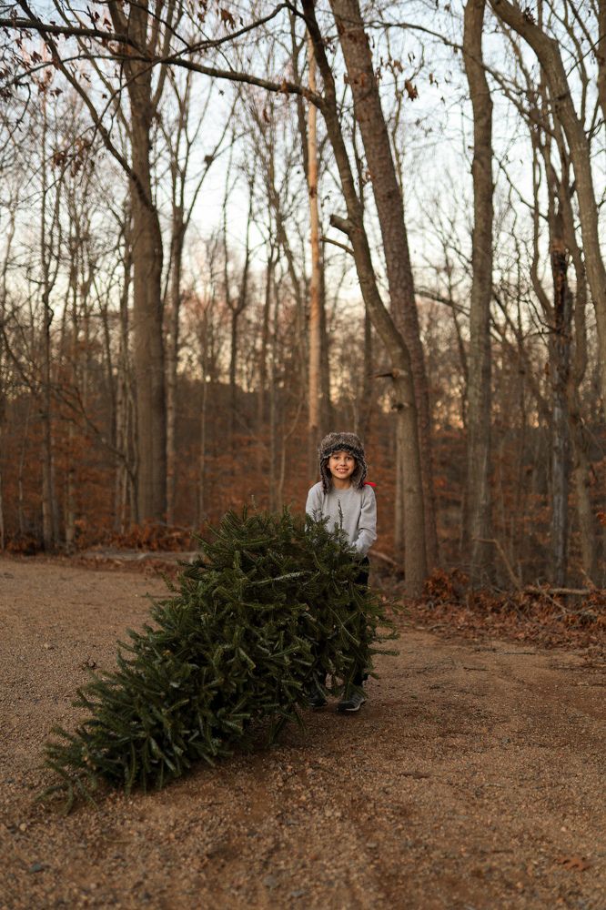 Фотография автора Olga Kichkaila