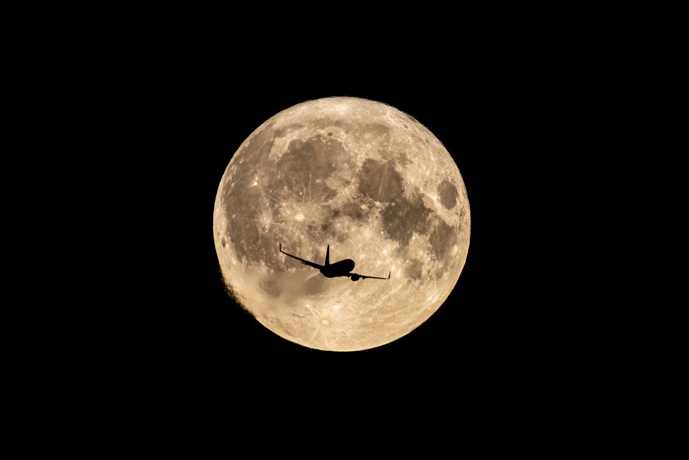 Photograph by Marina Lystseva