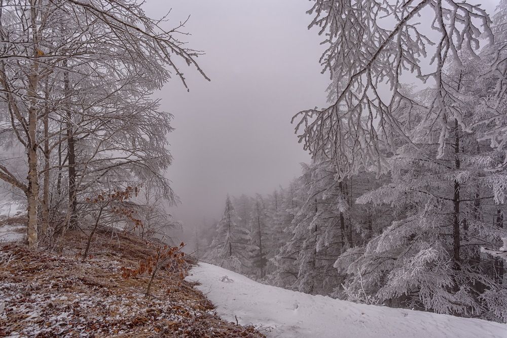 Photograph by  GeorgyPrimoretz