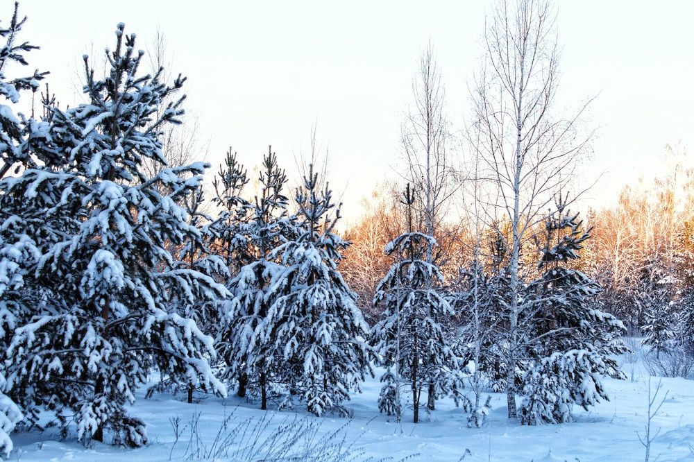 Photograph by Марина Тувышева-Чукавина