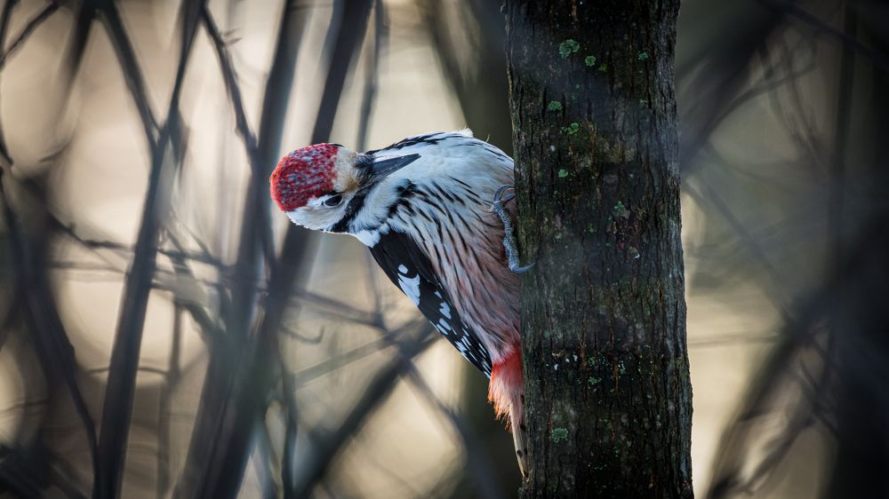 Photograph by Sofia Belyaeva