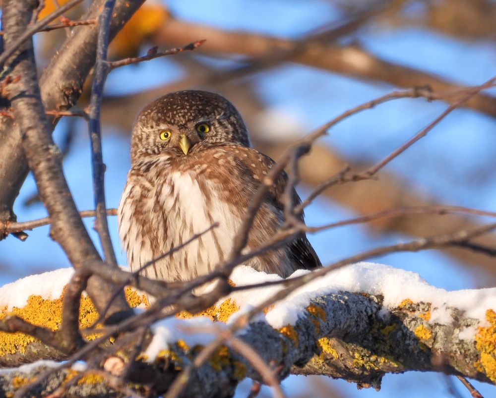 Photograph by Игорь Степанов