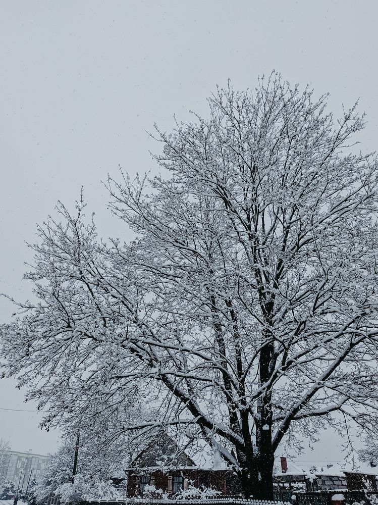 Фотография автора Kristina Nesteruk