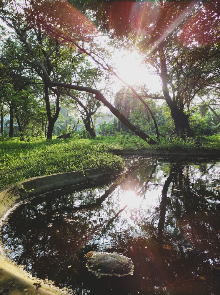 Photograph by PRABAGARAN V