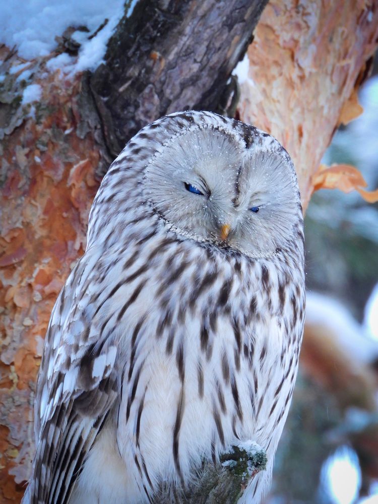 Photograph by Игорь Степанов