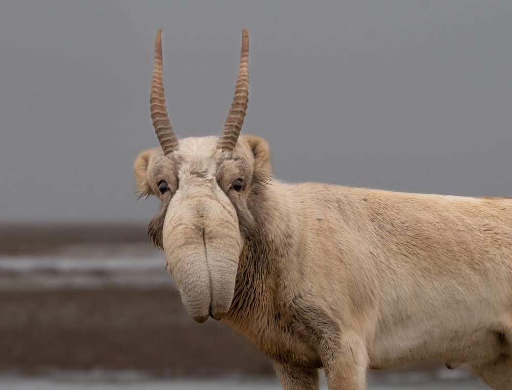 Photograph by Владимир Цветов