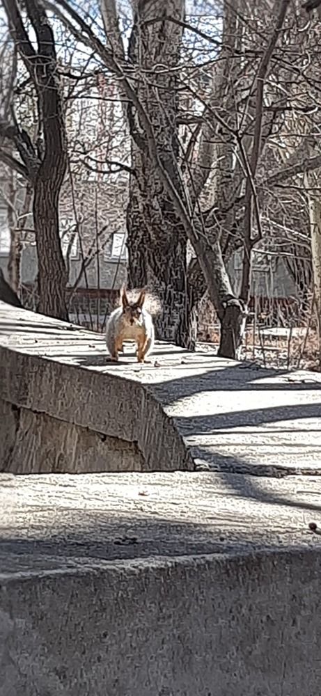 Photograph by Наталья