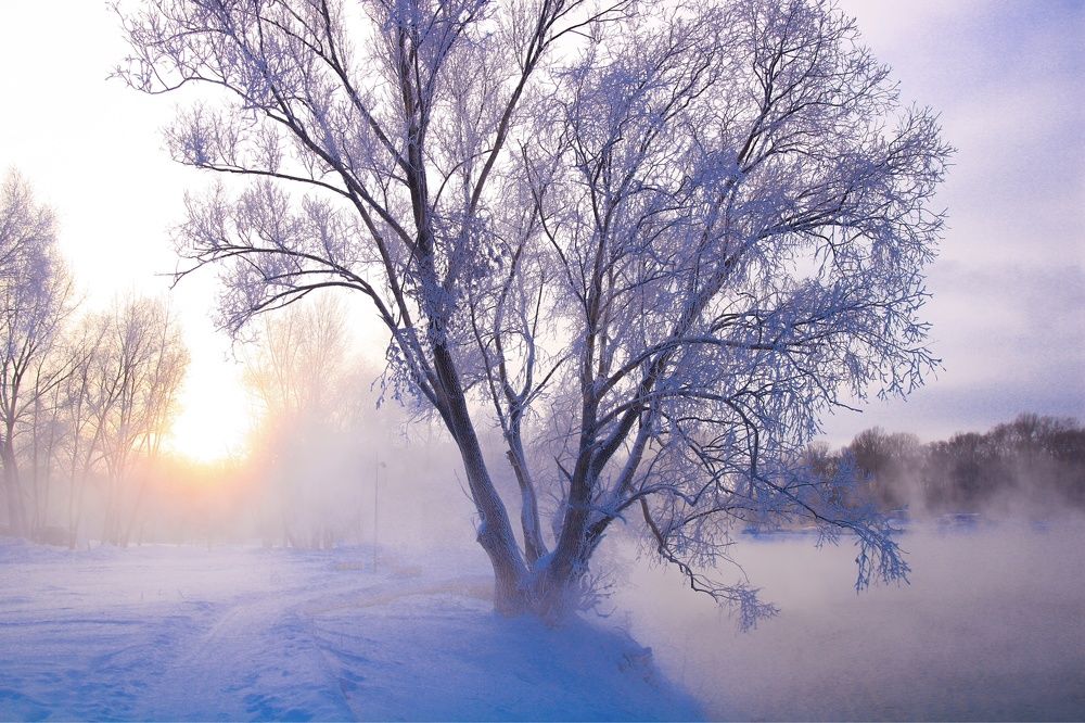 Photograph by Олеся Постнова