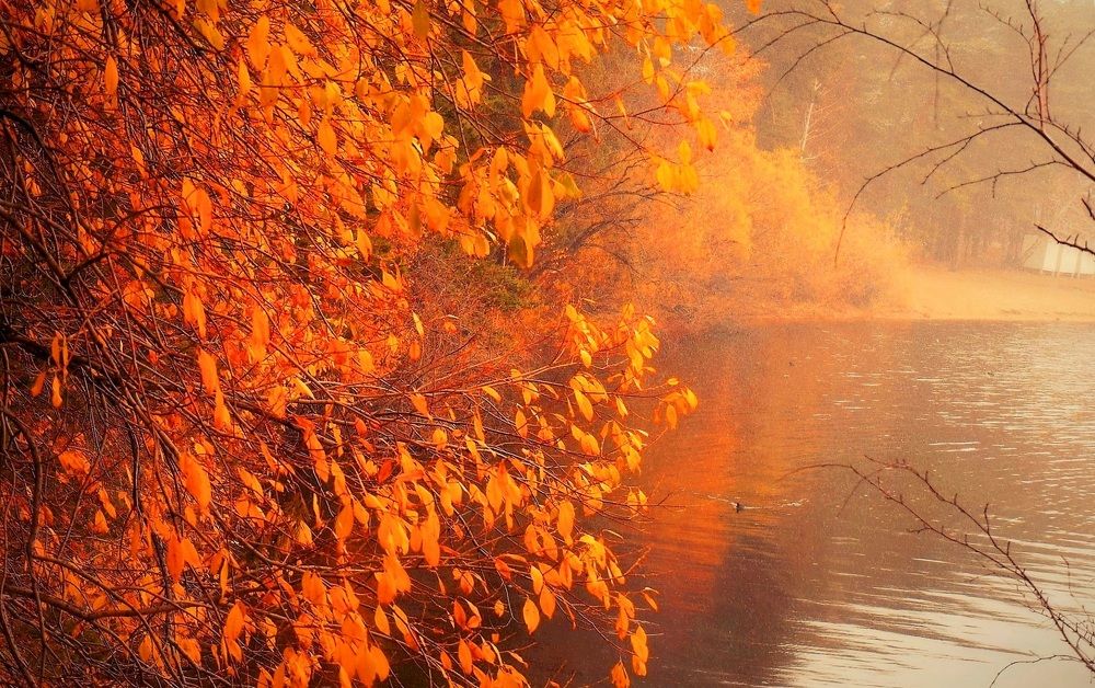 Photograph by Алия Байсыкова