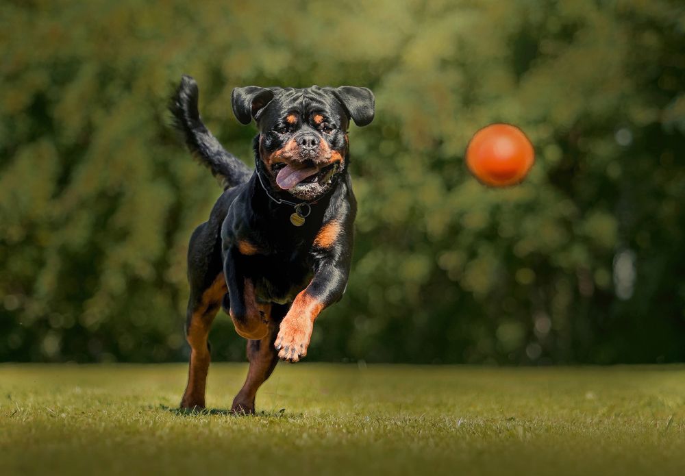 Photograph by София Зайцева