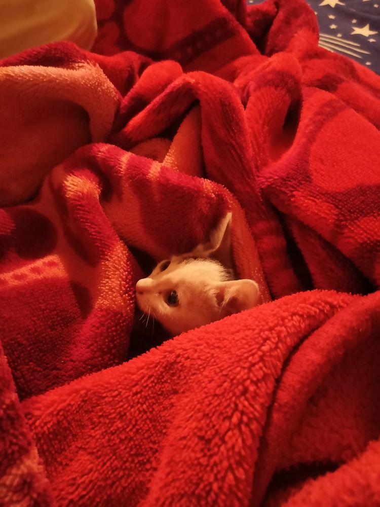 Photograph by Rushikesh Udawant