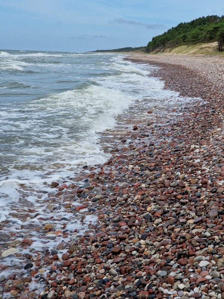 Фотография автора Elvijs Kalniņš