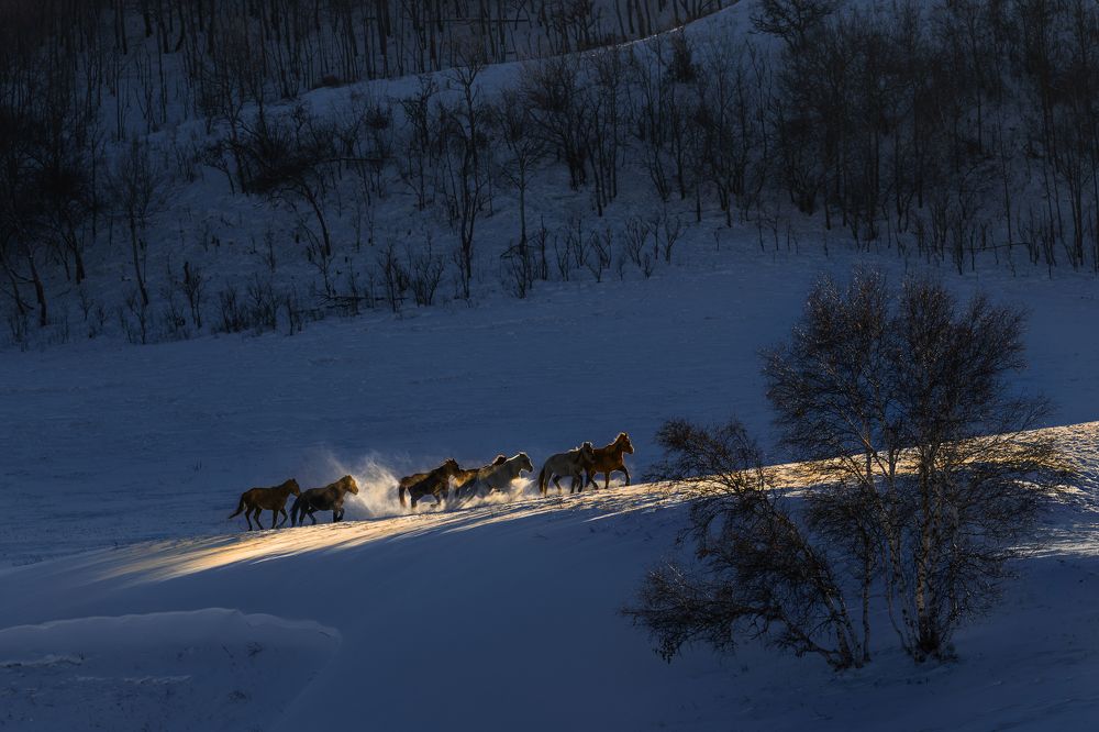 Photograph by Mikechan