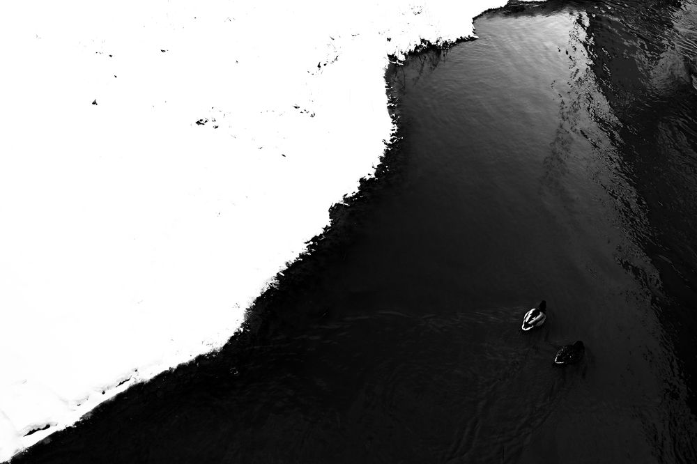 Photograph by Пиленгас Александр