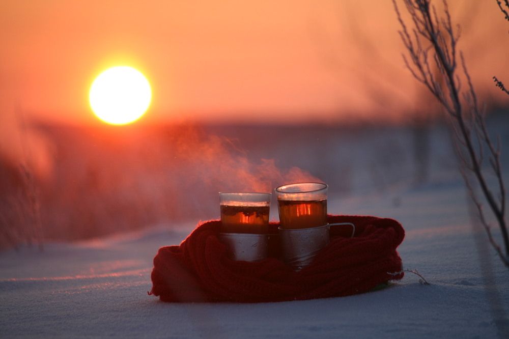 Фотография автора Татьяна Шебаршенко