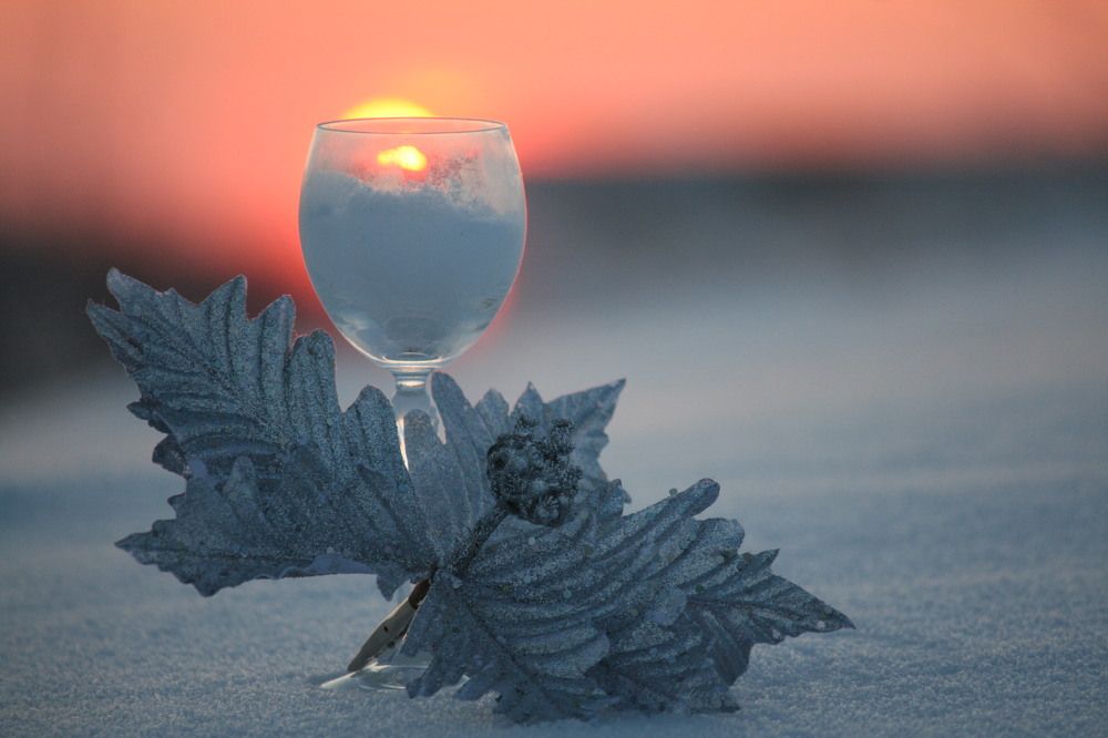 Фотография автора Татьяна Шебаршенко