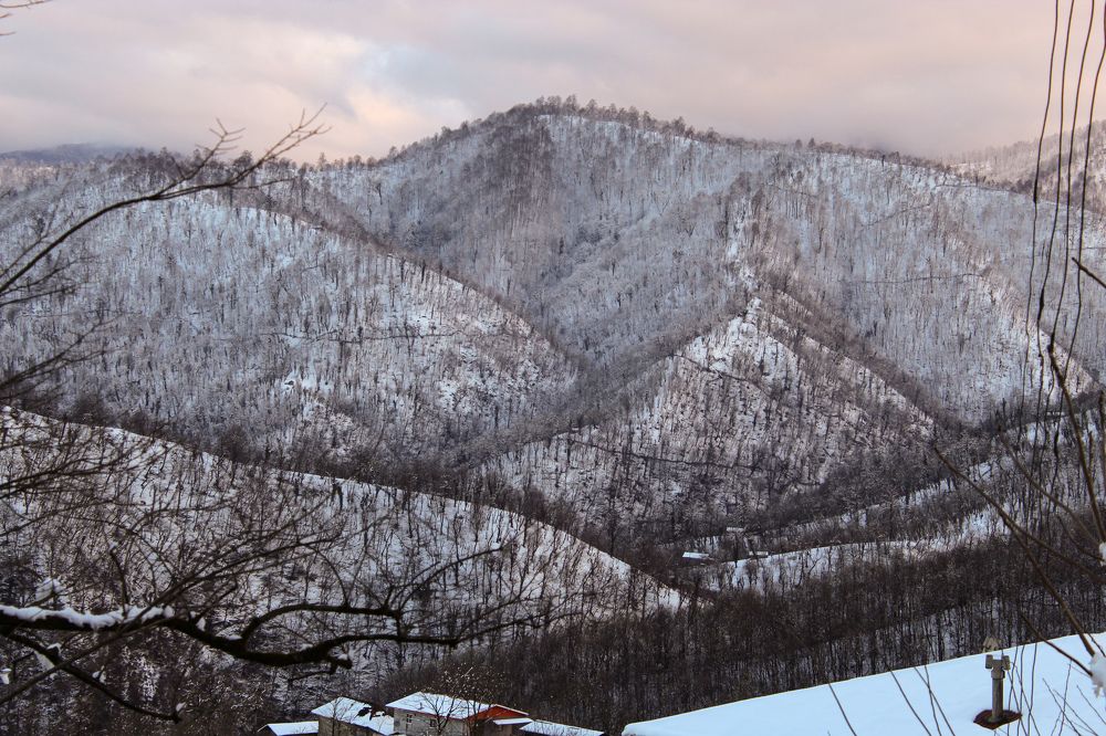 Photograph by Atefeh