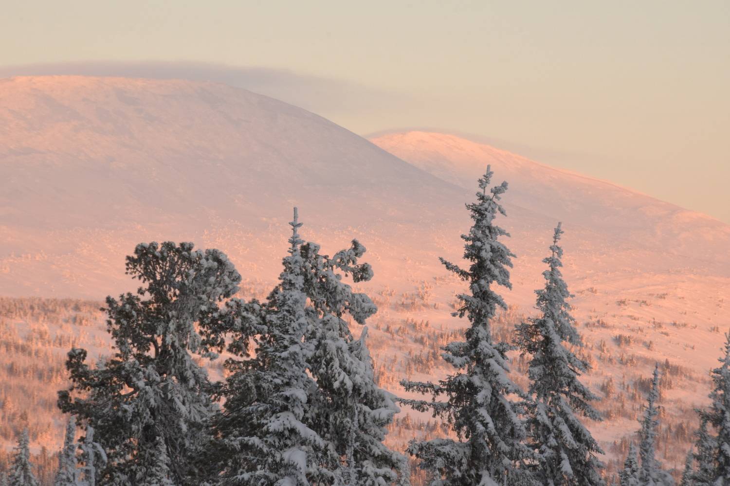 Photo #10107397
