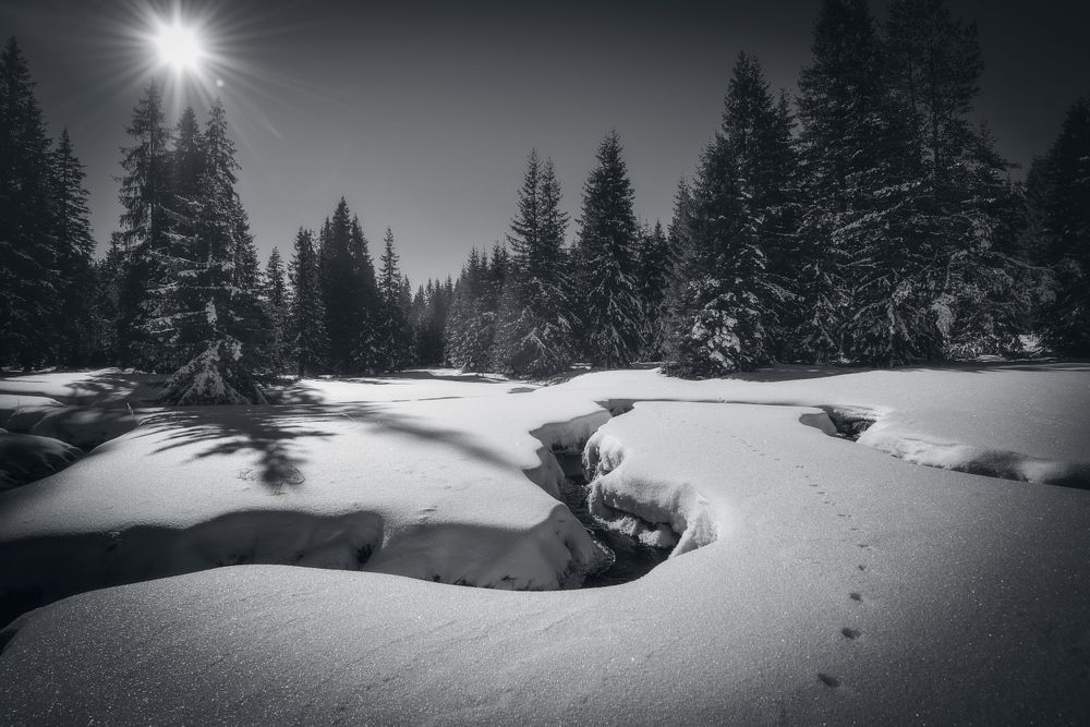 Фотография автора Mariyana Atanasova - Lucero