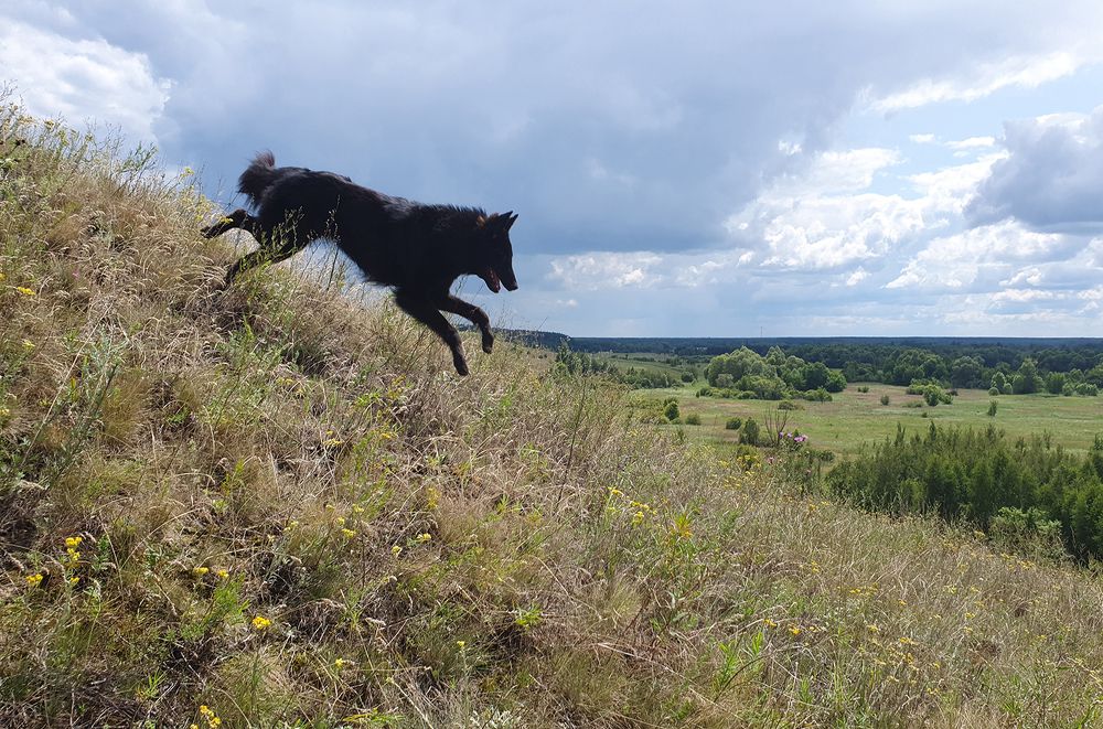Фотография автора Надежда Лисицына