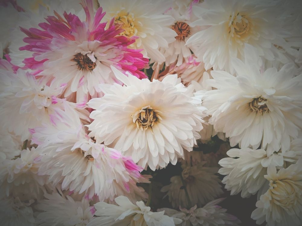 Photograph by Jasika Awasthi