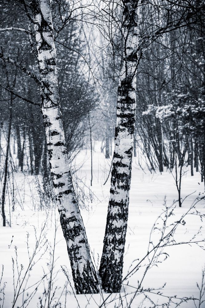 Photograph by Оксана Хабарова