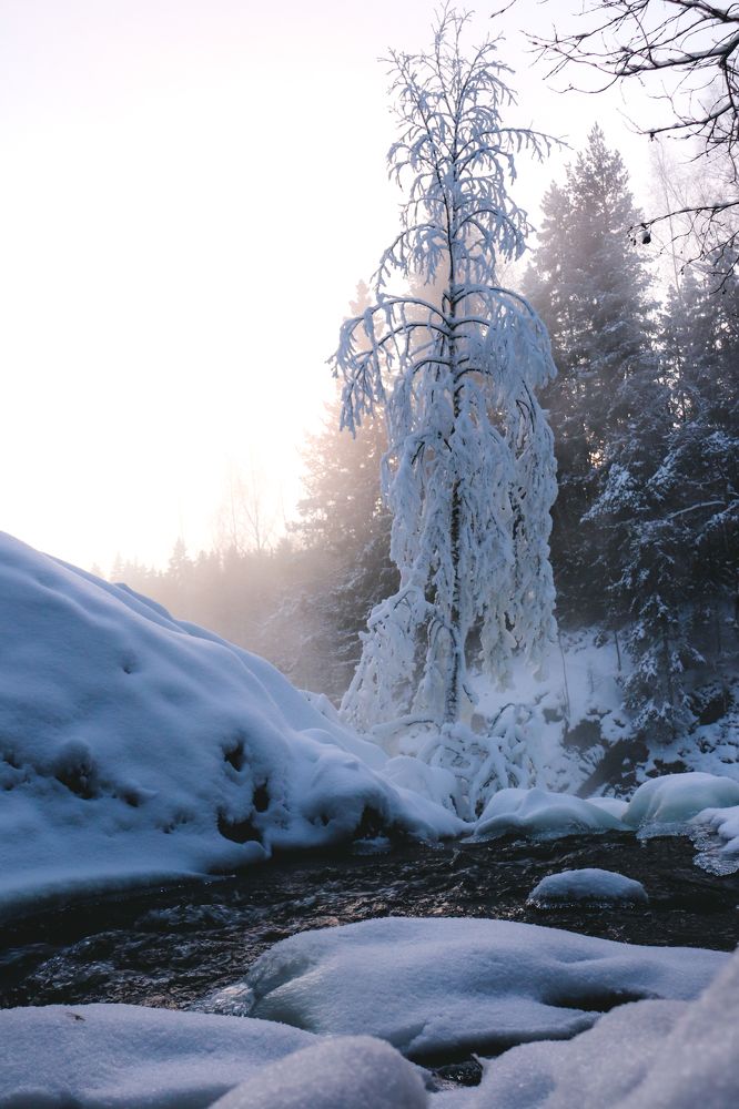 Photograph by Дайана Кириллова