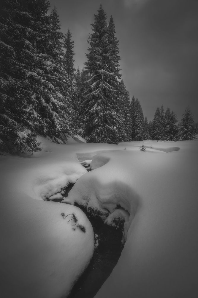 Фотография автора Mariyana Atanasova - Lucero