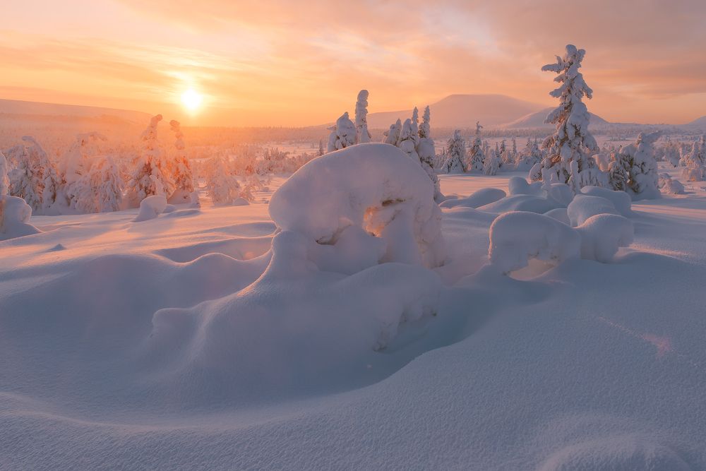 Пушистый плед