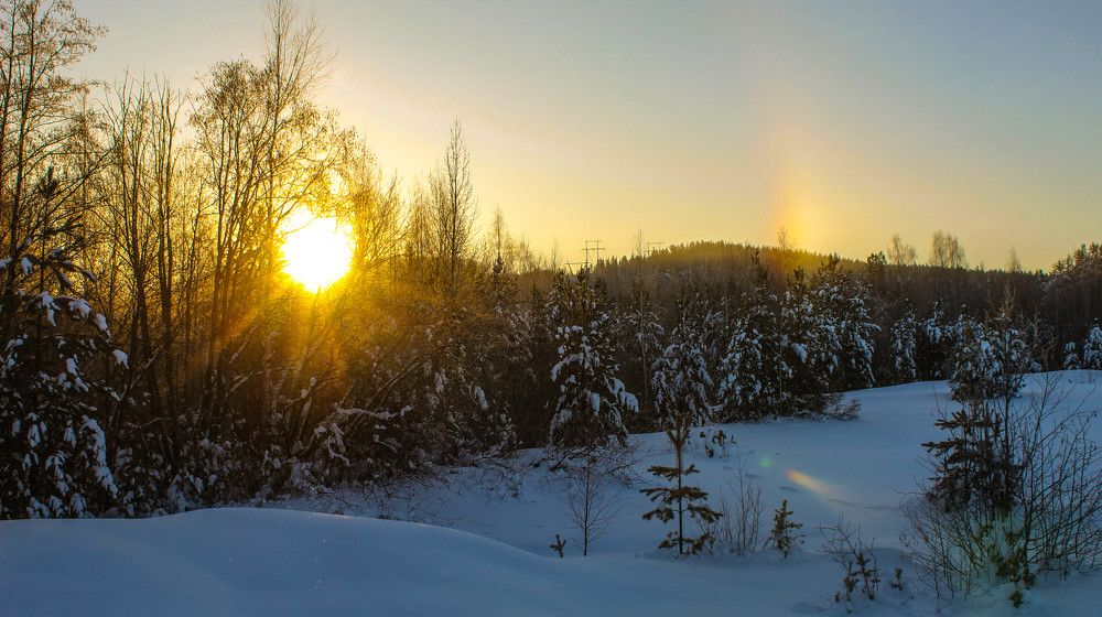 Фотография автора MARKELOVA EKATERINA