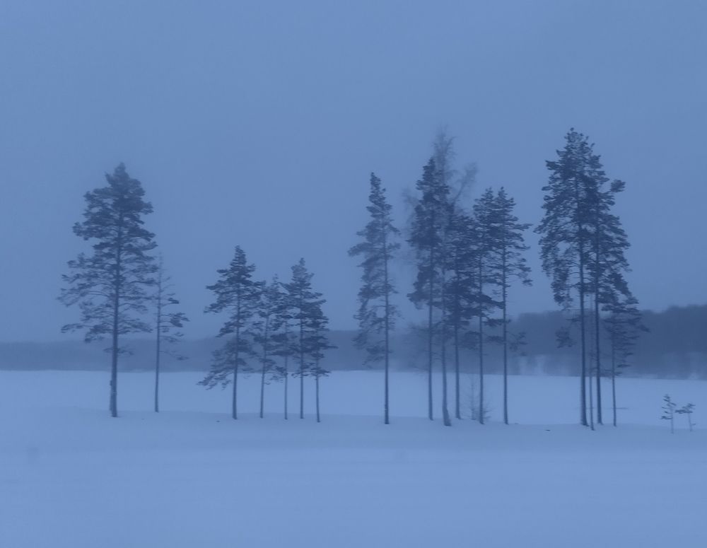 Photo #10107576