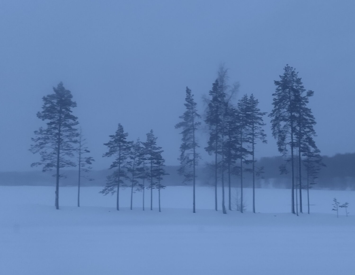 Photo #10107576