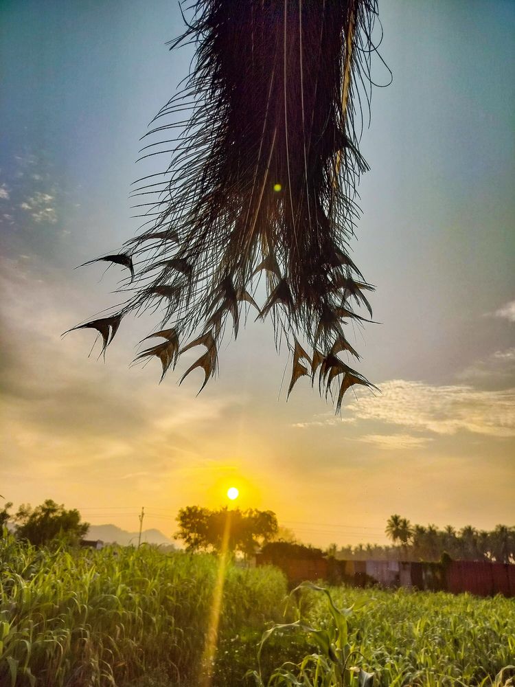 Photograph by Ajithkumar Kannadasan