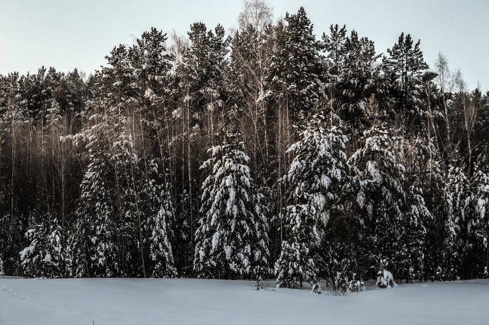 Фотография автора MARKELOVA EKATERINA