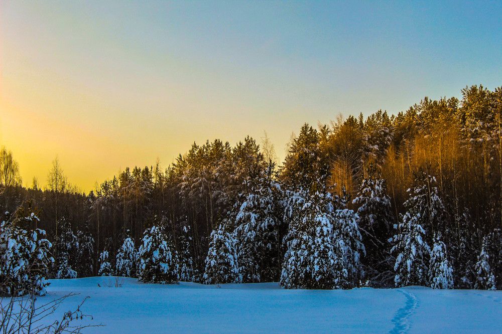 Фотография автора MARKELOVA EKATERINA