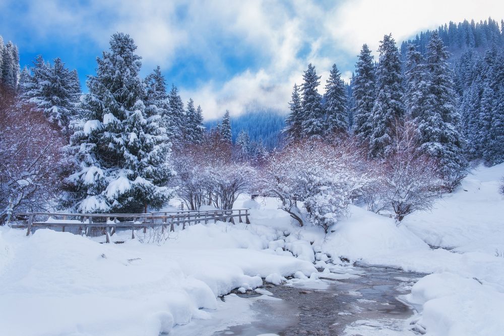 Photograph by Светлана Краюшкина