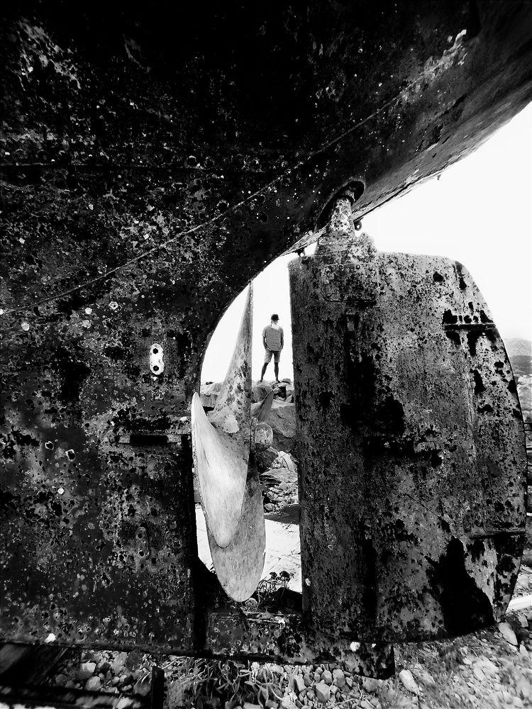 Фотография автора JELENA VASIC