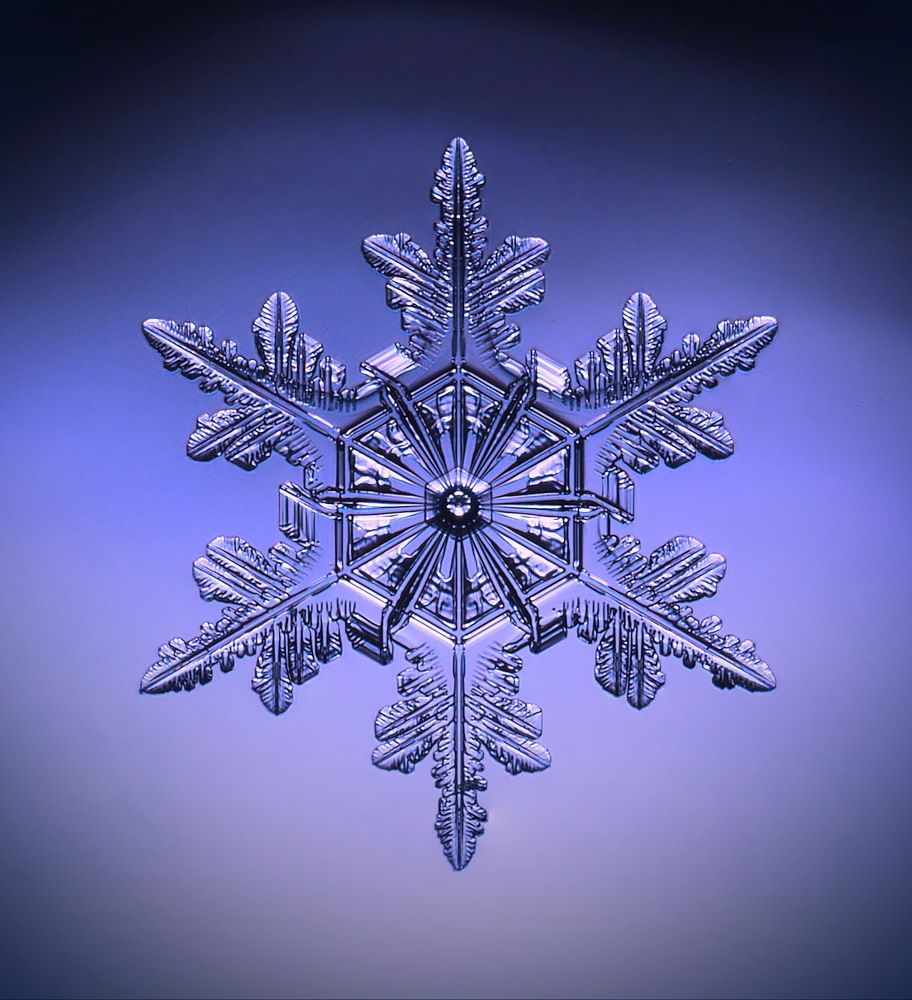 Пришелец с небес.