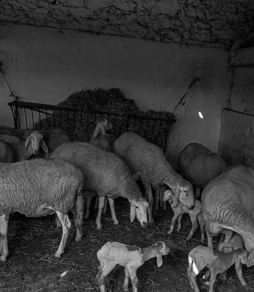 Фотография автора Lina Bouraba