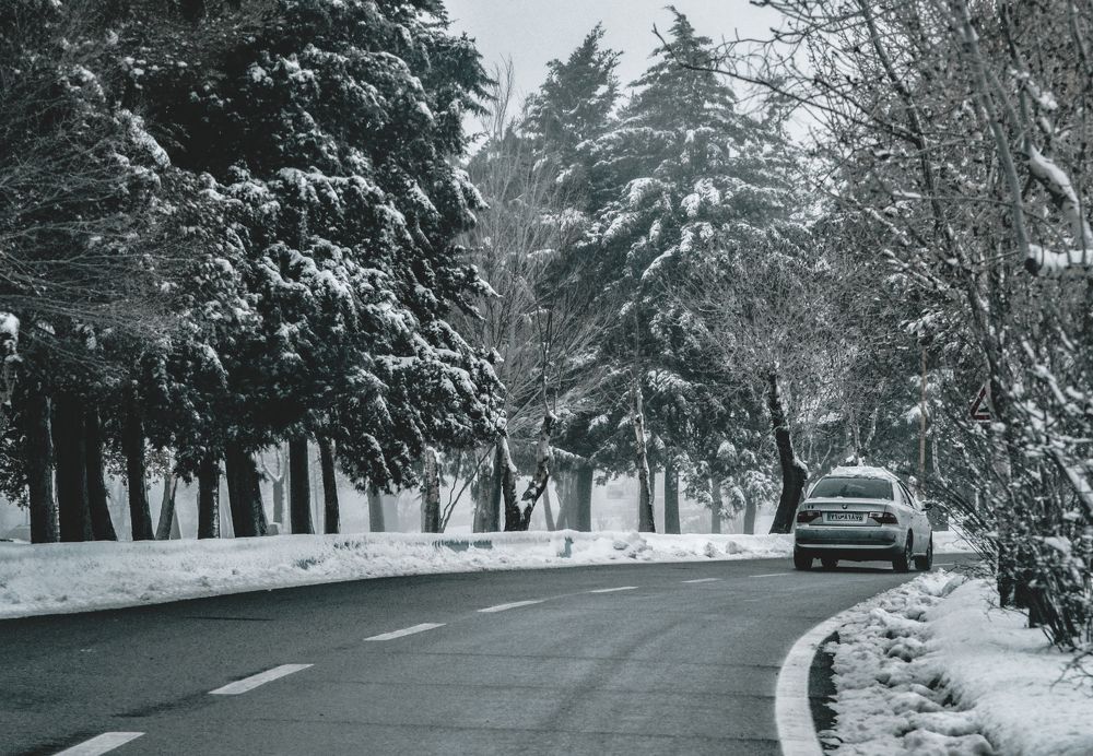 Фотография автора Abbas Ahmadi