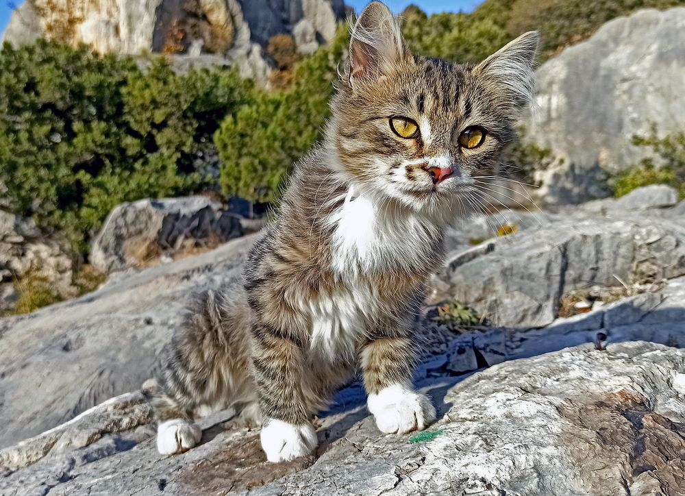 Photograph by Евгений Самулев